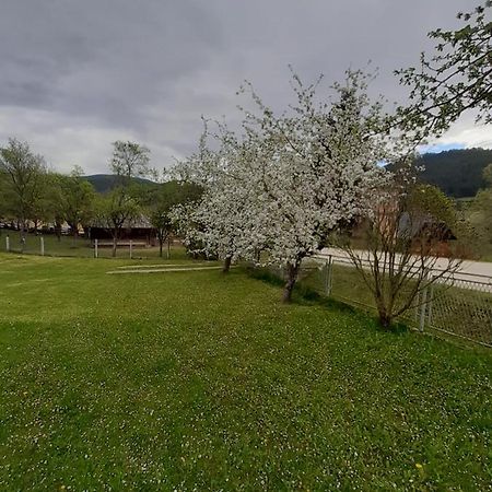 Apartman Djokovic Mokra Gora Buitenkant foto