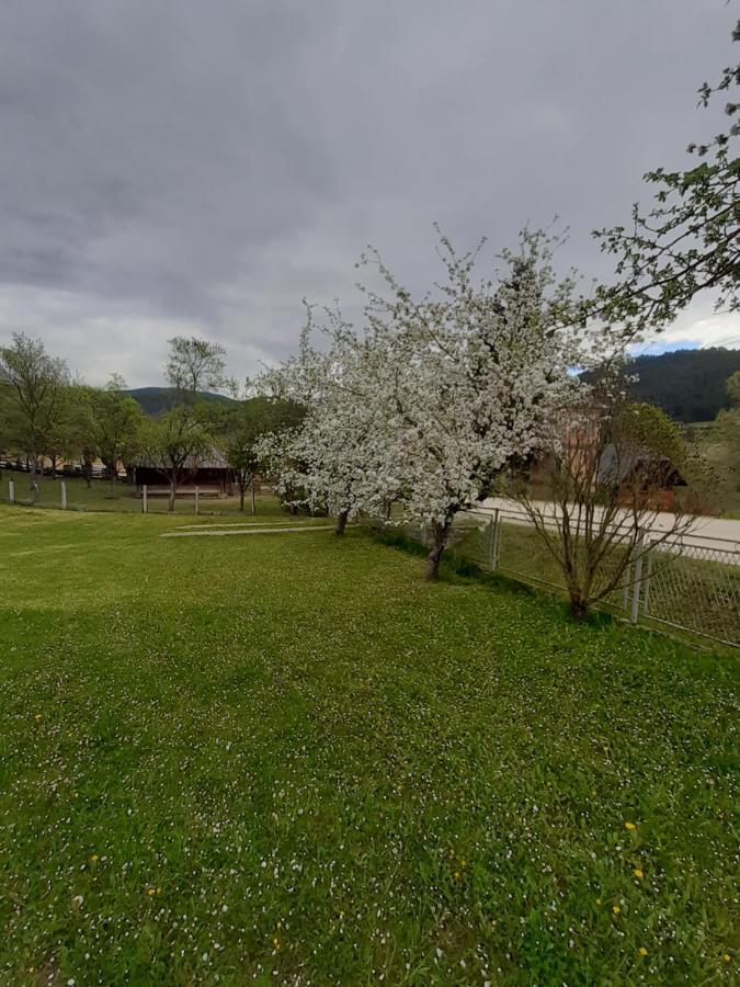 Apartman Djokovic Mokra Gora Buitenkant foto