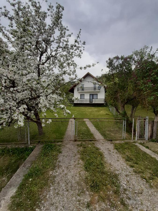 Apartman Djokovic Mokra Gora Buitenkant foto