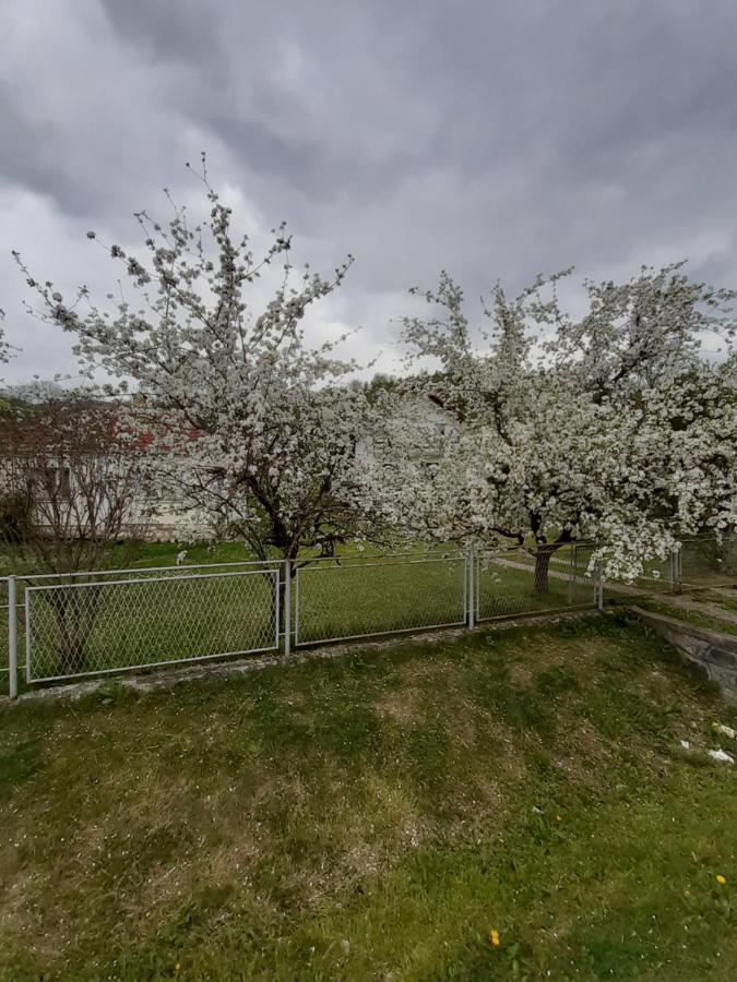 Apartman Djokovic Mokra Gora Buitenkant foto