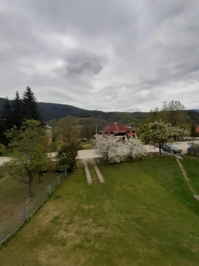 Apartman Djokovic Mokra Gora Buitenkant foto